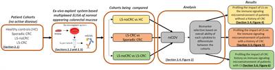 Immune microenvironment profiling of normal appearing colorectal mucosa biopsied over repeat patient visits reproducibly separates lynch syndrome patients based on their history of colon cancer